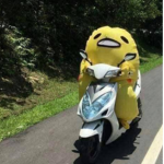 Sponge Bob (vietnam group)