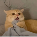 나뭇까지그룹