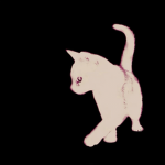 micah collective