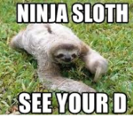 Sloth master