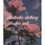 Aesthetic clothing for y'all