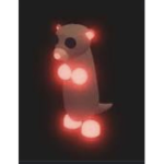 Meerkat amy