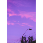 Blueberrysundays
