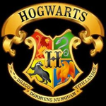 Harry Potter HP GROUP