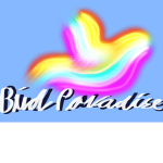 -Bird Paradise-