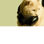 CAT IN HEADPHONES