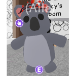 LOVE KOALAS!