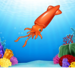 the lil squids