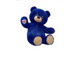 Blue teddy,s