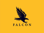 Studio of falcon