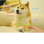 Doge Nation Republic Security