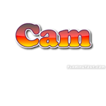 CamBams