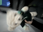 ⋂α