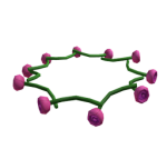 crown of roses fan club