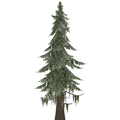 [PBR] Realistic Red Cedar Pine Tree
