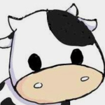 Moo Moo Sisterhood