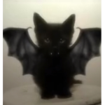 Layanoooandbats