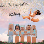 Night sky gymnastics academy