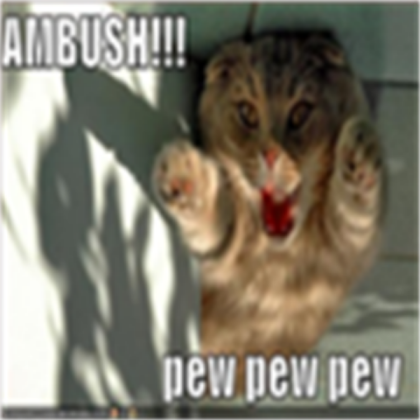 funny kitty Roblox decal
