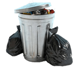 Garbage Band