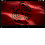 The Vikings group