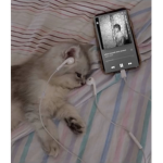 Cx mia <3