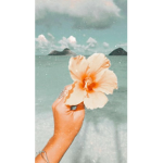 ~Blosom's~