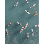 ~surfies~