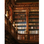 Fantasy library