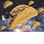flying taco cats