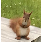 ????!??