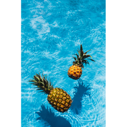Pineapple Donation Game