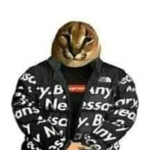 floppa supreme