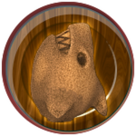 Sand Shark Egg