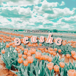 ʚ c a s h ɞ