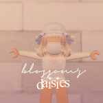 Blossom's Daisies