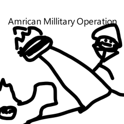 American Milltary Operation Take The Capital