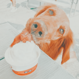 ✰