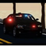Newborn county sheriff’s office RP
