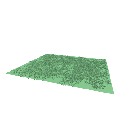 Grass