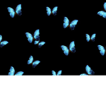 xMyRobloxgroupx