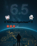 Pilchas brunoo & tomii