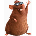 HUGE RATS