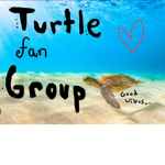 Official Turtle group fans