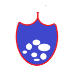 Azumarill's Guild