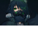 The True Anime.