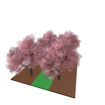 Forest Street
