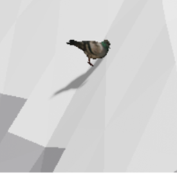 Bird and the mountin