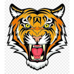 legendery tiger gamers