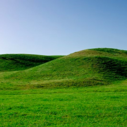 on the hill....